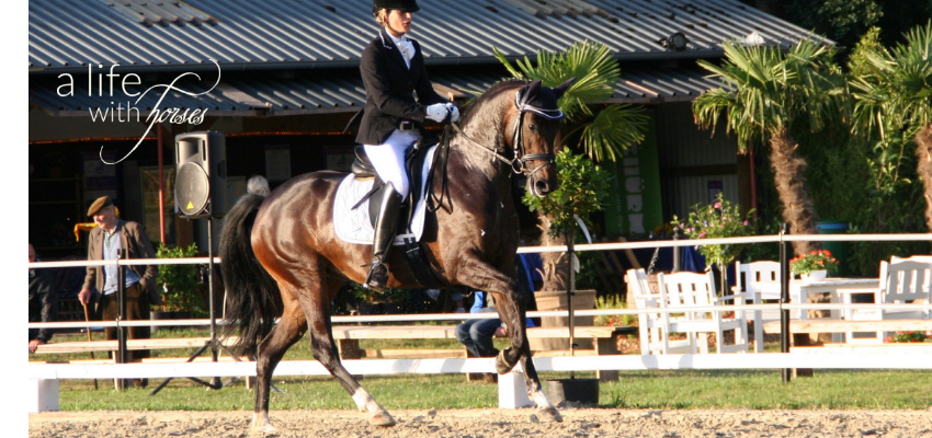 Quebella_Hoelscher_Stute