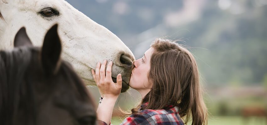 Was kostet ein Pferd im Monat?