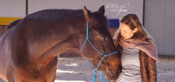 horsemanship-brummer-alifewithhorses Braunes Pferd und Frau