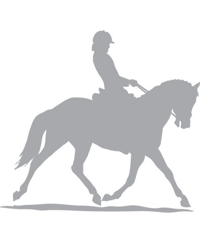 der-Liegesitz-beim-Reiten falsche-Reiterhaltung-korrigieren