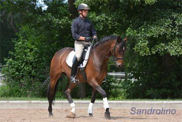Sandrolino-im-Training Im-Training-mit-Sandrolino