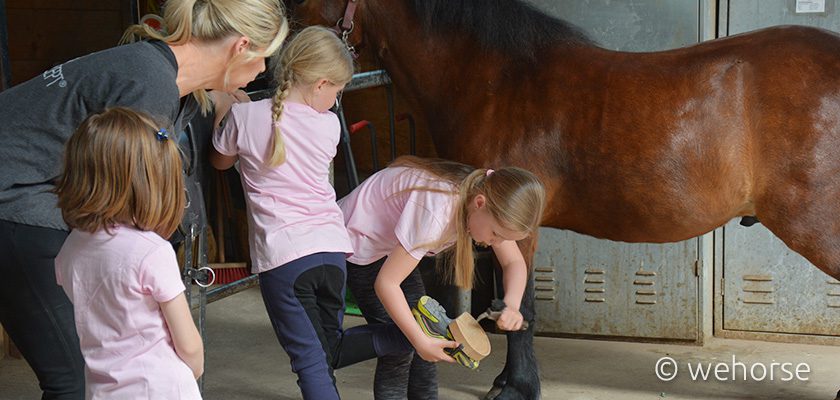 ponypflege-ponyteam-anfängerunterricht
