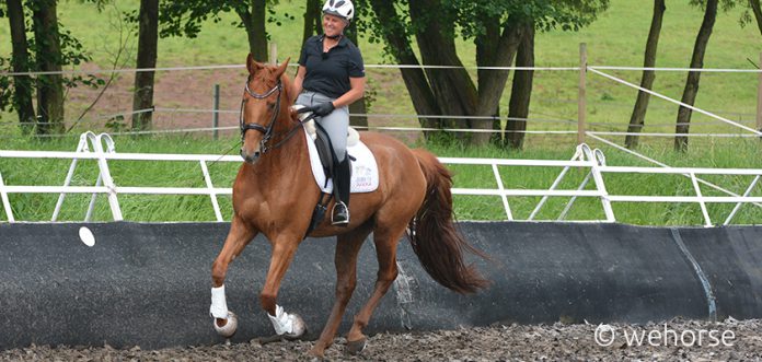 fuchs-lenny-gräf Fuchs Lenny und Reiterin Uta Gräf