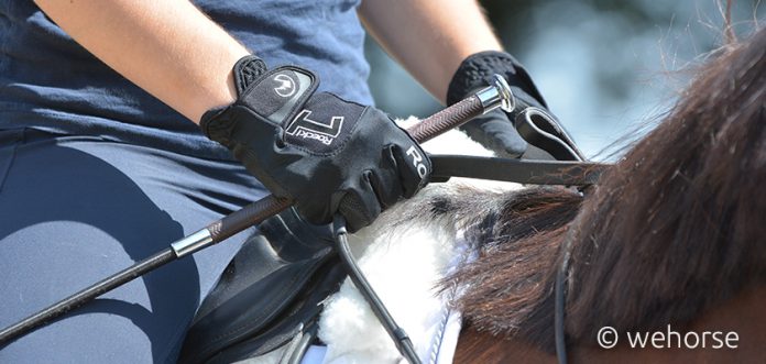 Gerte-Gertenknauf-Reiterhand Reiterhand im Detail mit Gerte