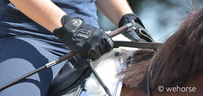 Reiterhand im Detail mit Gerte