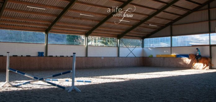 Training-Muskulatur-Pferd Hindernis in Reithalle und Reiterin