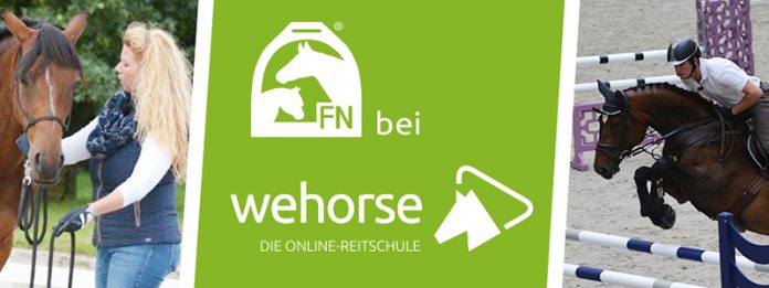 FN bei wehorse