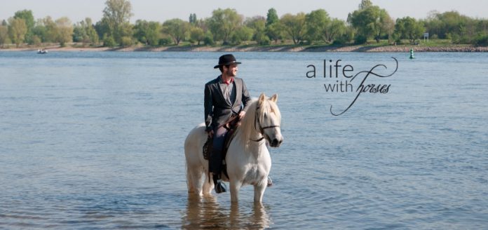 Camargue-alifewithhorses-Camarguepferd Camarguepferd im Fluss Rhein stehend mit Reiter