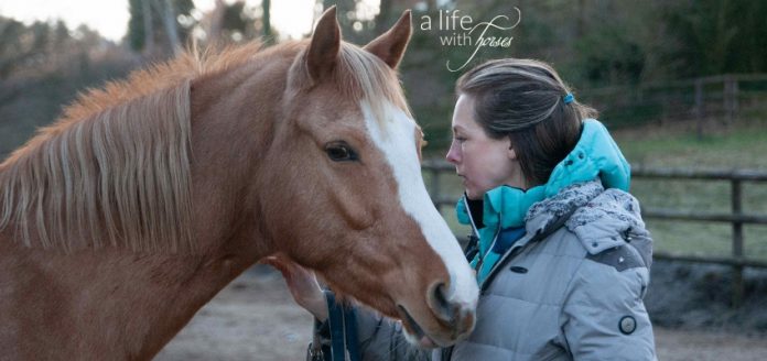 Horsemanship-Clicker-Pferdeausbildung Frau und Pferd Portraitfoto