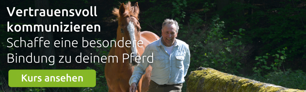 Kurs zum Thema Pferdeerziehung mit Wolfgang Marlie