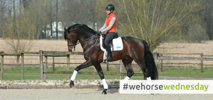 wehorsewednesday Trab verbessern mit Ingrid Klimke Trab verbessern mit Ingrid Klimke