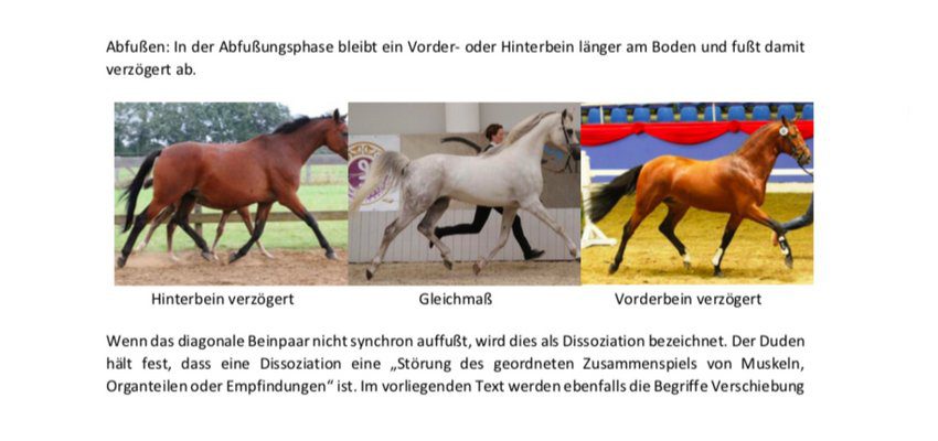 Einbeinstuetze-trab takt-trab