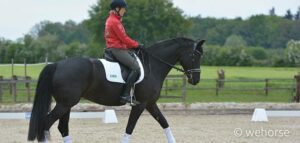 Ingrid Klimke reitet auf Rappe