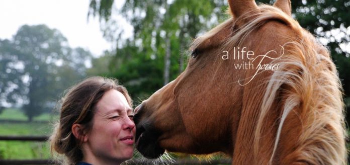 Leichtfuttrig-Training-alifewithhorses.de Pferdekopf und Menschenkopf