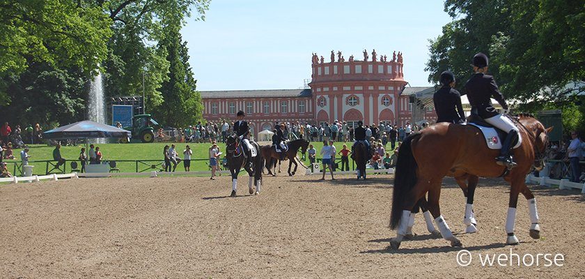 Reitturnier-Dressurturnier-Turnierluft Turnierplatz