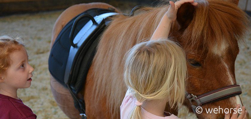 vertrauen-pony-kinderreitunterricht Zwei Kinder und ein Pony