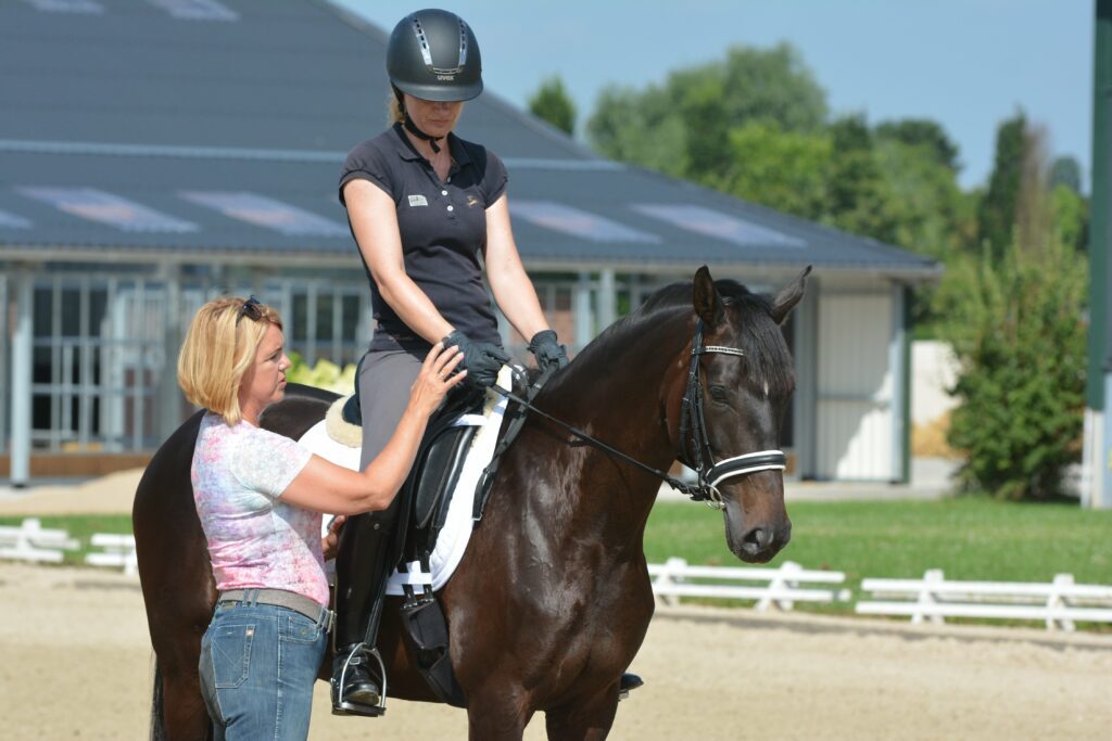 Reiten Bis Ich Platze Reiten Bis Ich Platze