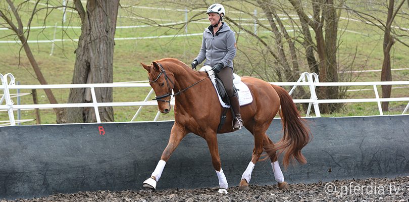uta-graef-und-lenny dressurreiterin