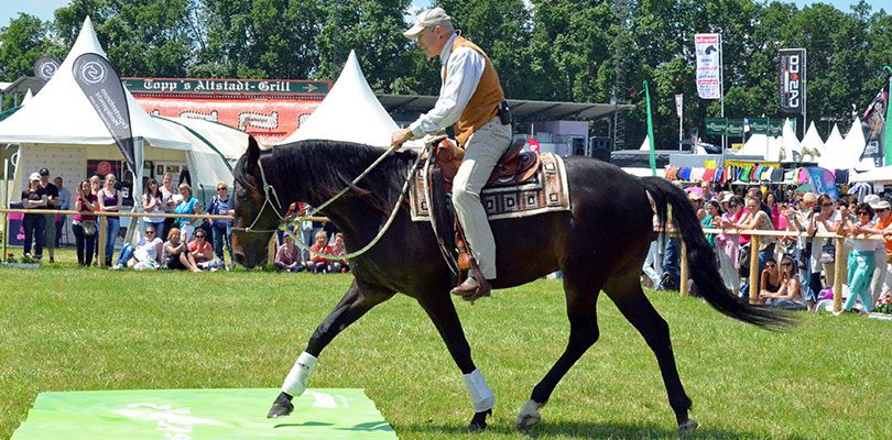 kreinberg-anlehnung richtige-anlehnung