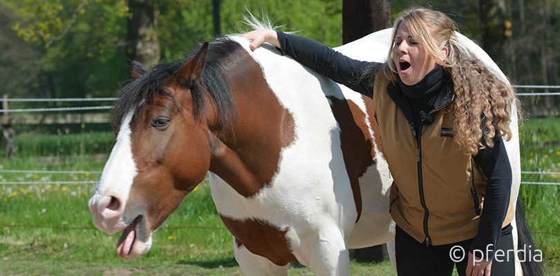 Jenny-Wild-Beziehung Beziehung-Jenny-Wild