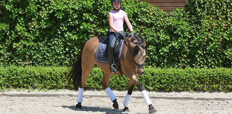 Diese Verrückte Schülerin Kann Gut Reiten Diese Verrückte Schülerin Kann Gut Reiten