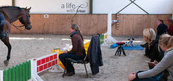 Reiten-lernen-Reitlehrer Unterrichtssituation mit Reitlehrerin Claudia Butry