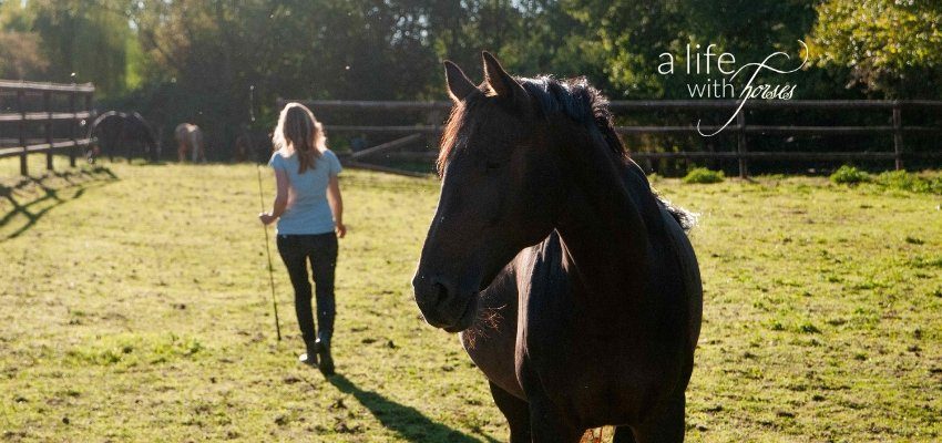 meine frau am reiten