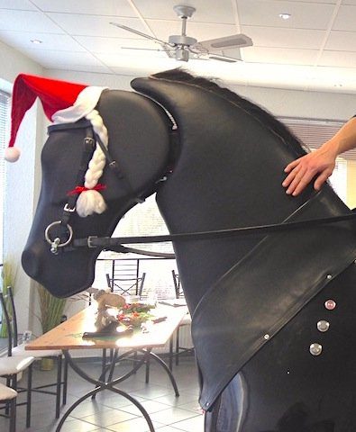 Reitsimulator Hilfen Reitsimulator Hilfen