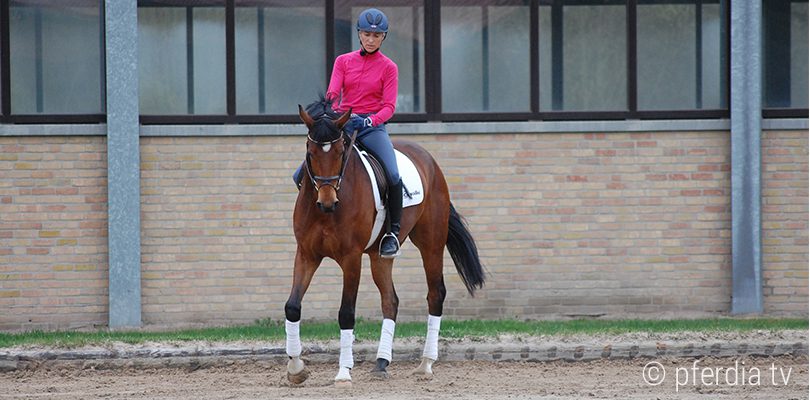 ingrid-klimke-kurzkehrt lektionen-lernen