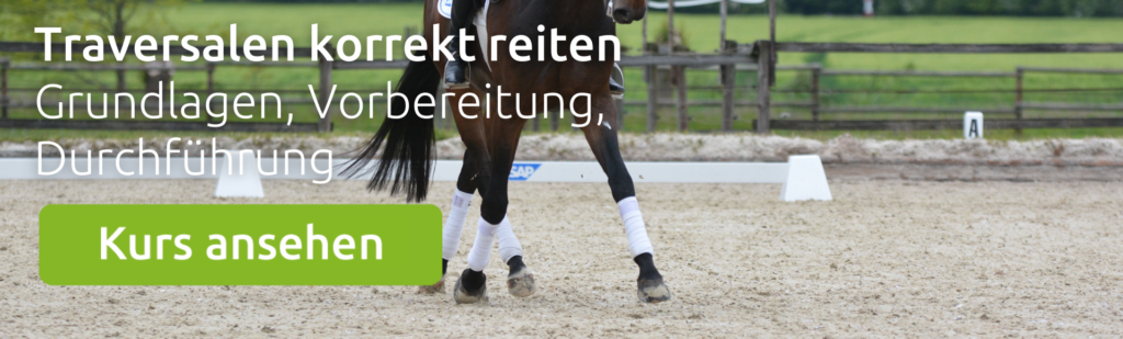 Kurs Traversale korrekt reiten