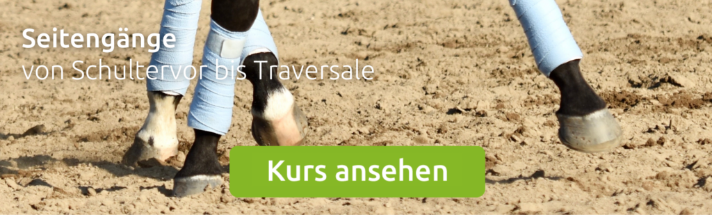 Kurs Seitengänge von Schultervor bis Traversale