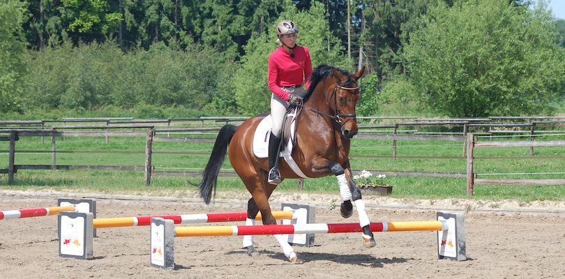 Cavalettiarbeit-mit-Ingrid-Klimke Ingrid-Klimke-bei-der-Cavalettiarbeit