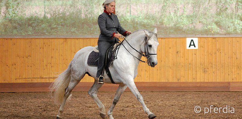 Christiane-Horstmann-Legerete Christiane-Horstmann-Legerete