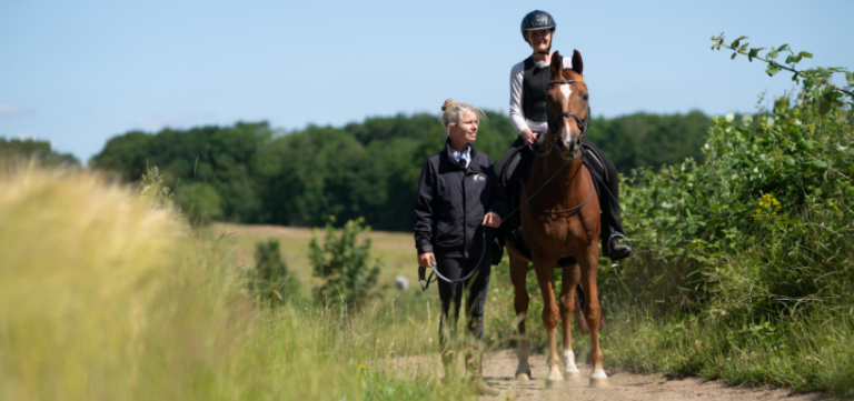 Reiten lernen - So kappt es bestimmt