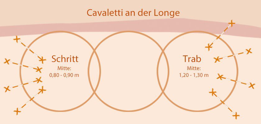 Cavaletti an der Longe Cavaletti an der Longe