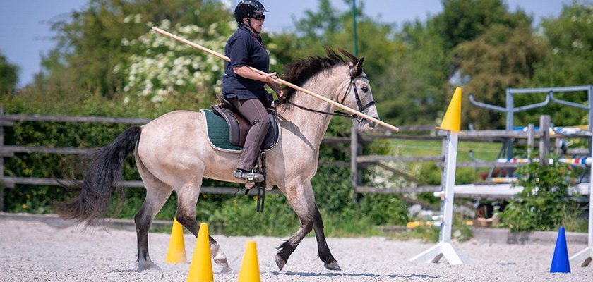 working-equitation-garocha working-equitation-garocha