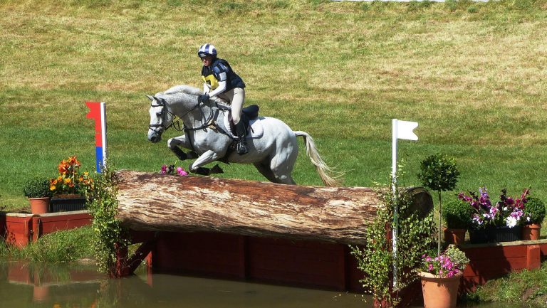 Turnier reiten Voraussetzung