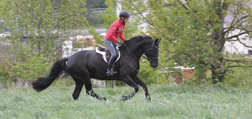 Intervall Training für dein Pferd