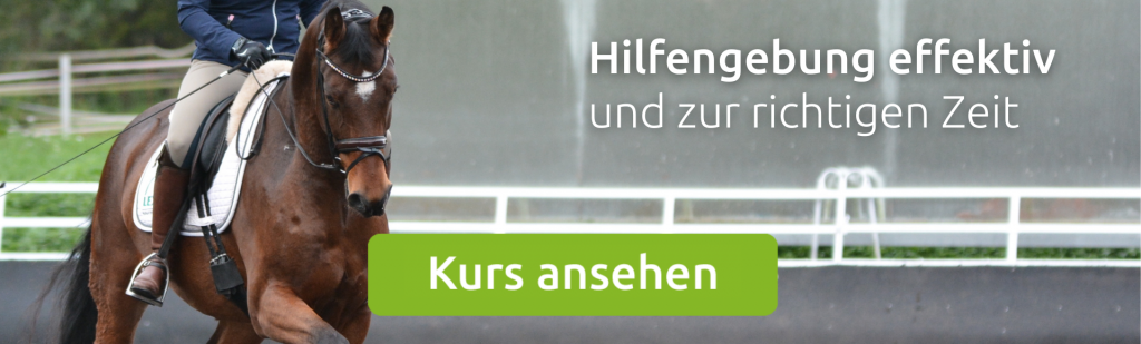 Effektive Hilfengebung ist wichtig ab bestimmten Dressurklassen