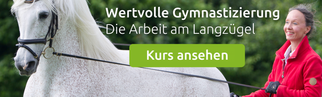 Kurs: Die Arbeit am Langzügel mit Saskia Gunzer