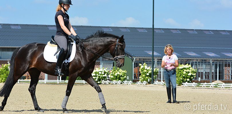 unterricht-britta-schoeffmann Britta Schöffmann gibt Reitunterricht um den Stuhlsitz zu korrigieren