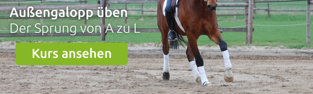 aussengalopp-ingrid-klimke wehorse Kurs zum Thema Außengalopp