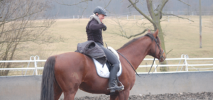 Winterarbeit mit dem Pferd: So übersteht ihr die kalte Jahreszeit im Stall!