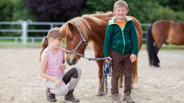 Zwei Kinder mit einem Pony