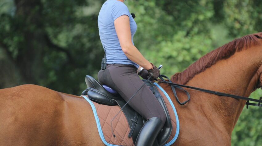 Eine Reiterin die auf einem braunen Pferd sitzt.