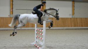 Ein weißes Pferd, das über ein Hindernis springt.