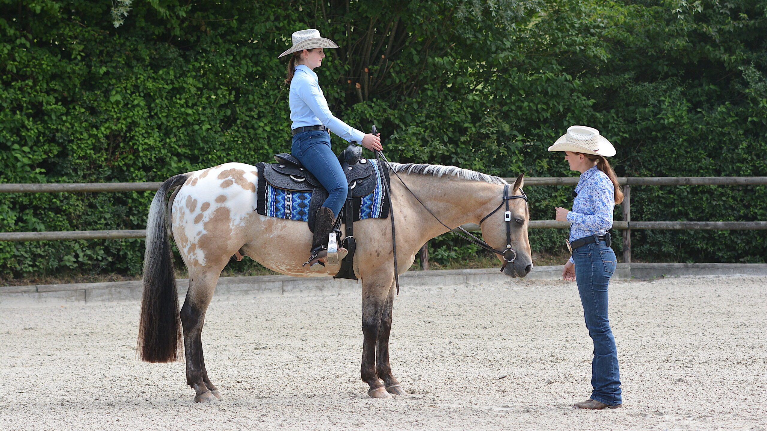 Westernreiten Alles zur Disziplin wehorse Blog
