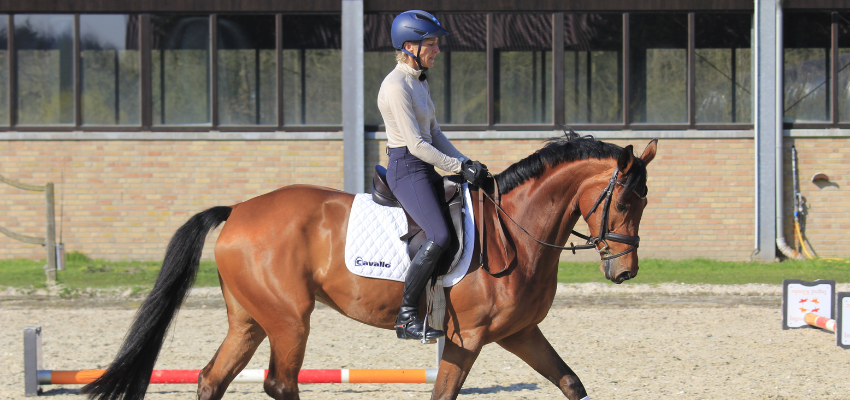 Ingrid Klimke gymnastiziert ein Pferd im Trab.