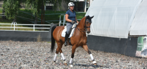 Uta Gräf reitet ein Pferd im Trab mit Kandare.