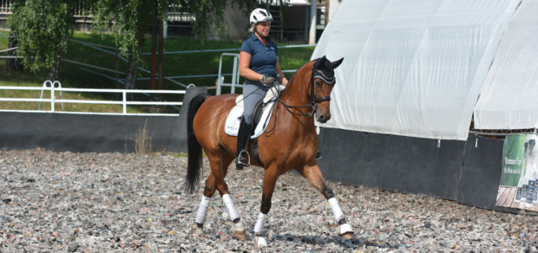 Uta Gräf reitet ein Pferd im Trab mit Kandare.